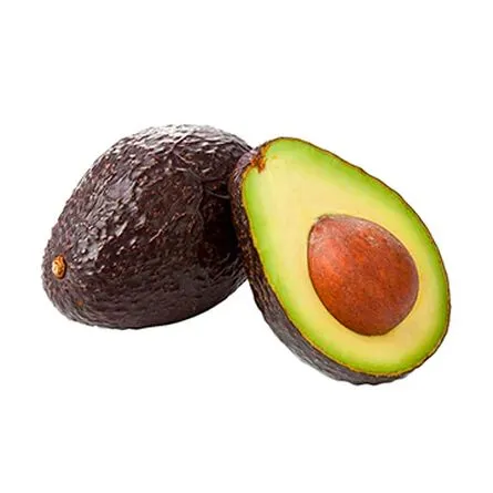 AGUACATE 1
