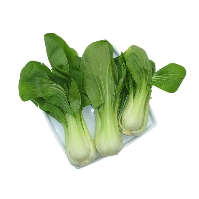 BOB CHOY