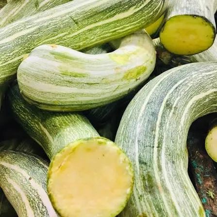 CALABAZA REGIONAL (BUCHE)