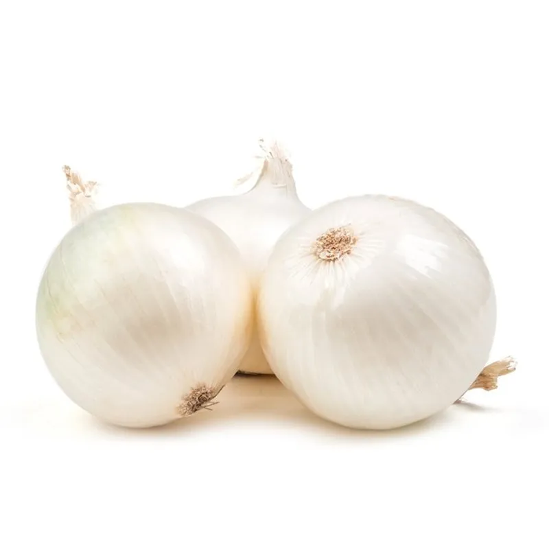 CEBOLLA BLANCA