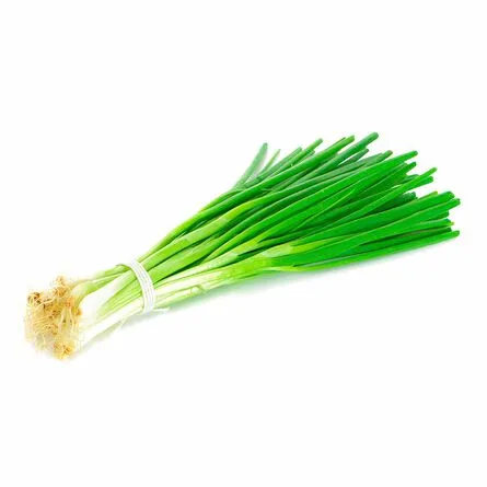 CEBOLLIN