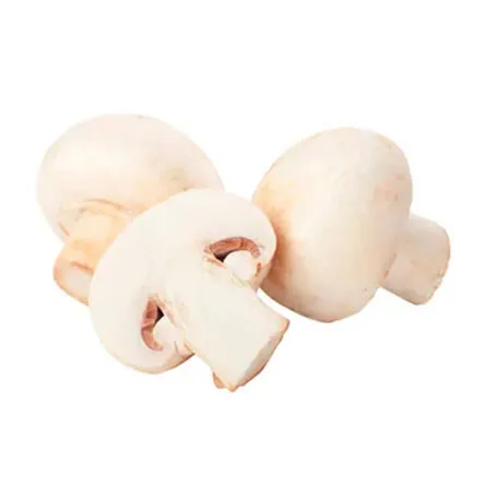 CHAMPIÑON BLANCO