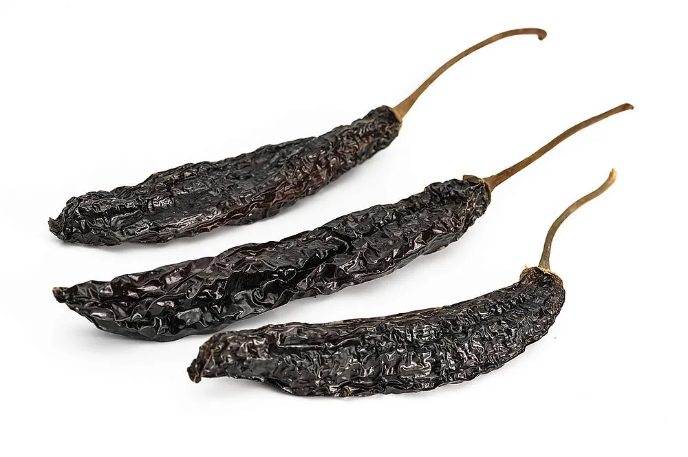 [41] CHILE PASILLA