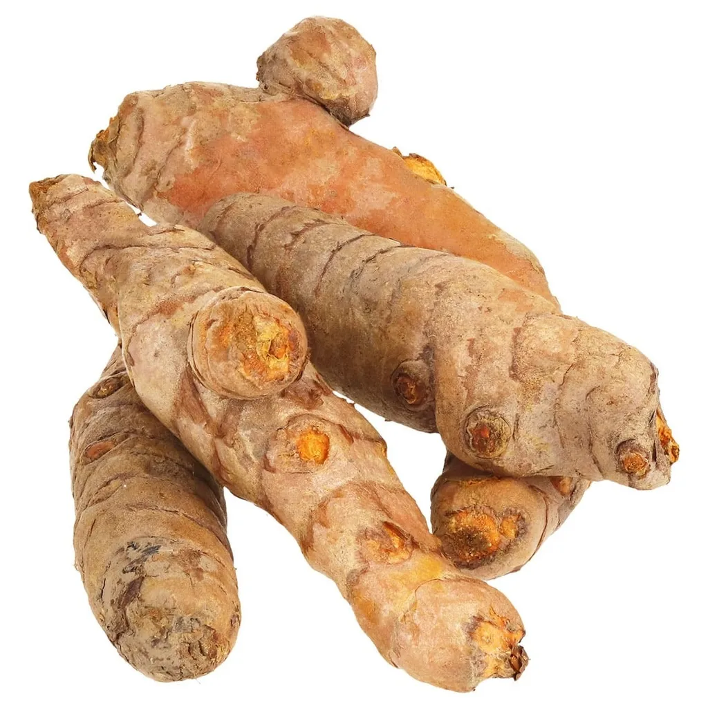 CURCUMA RAIZ