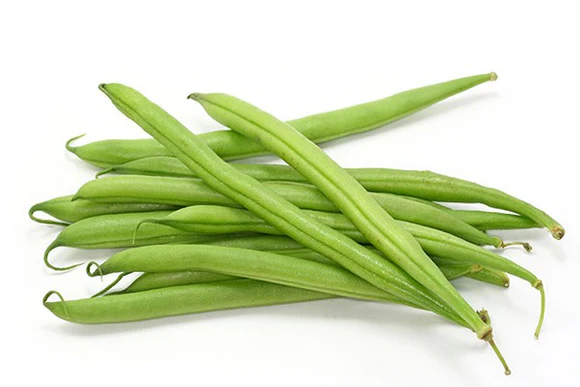 EJOTE