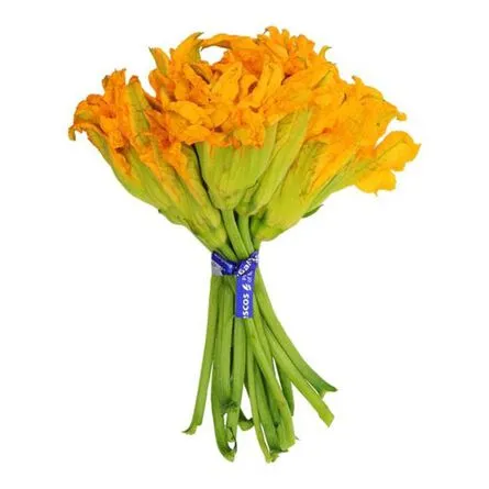 FLOR DE CALABAZA