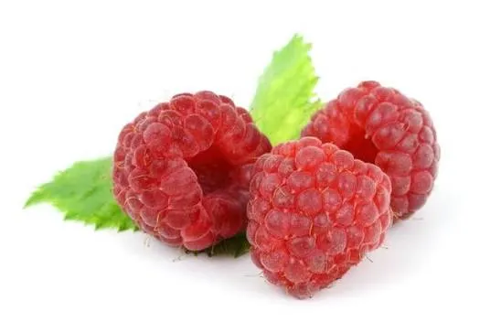 FRAMBUESA