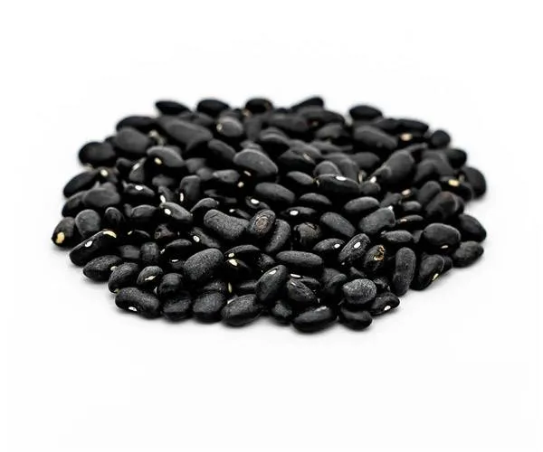 [77] FRIJOL NEGRO