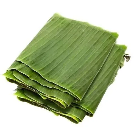 [5] HOJA DE PLATANO