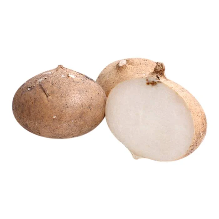 JICAMA