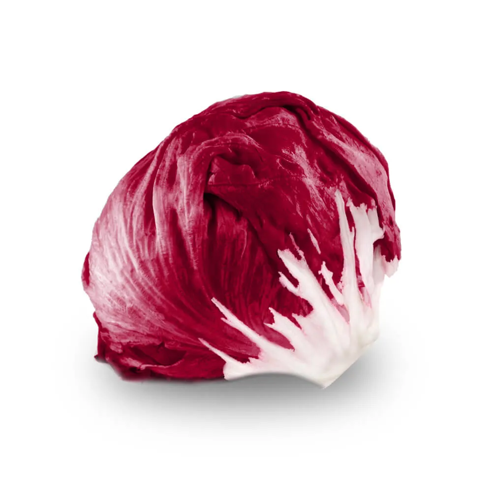 LECHUGA RADCCHIO