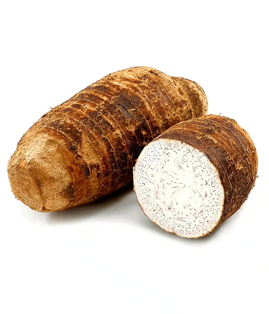 MALANGA