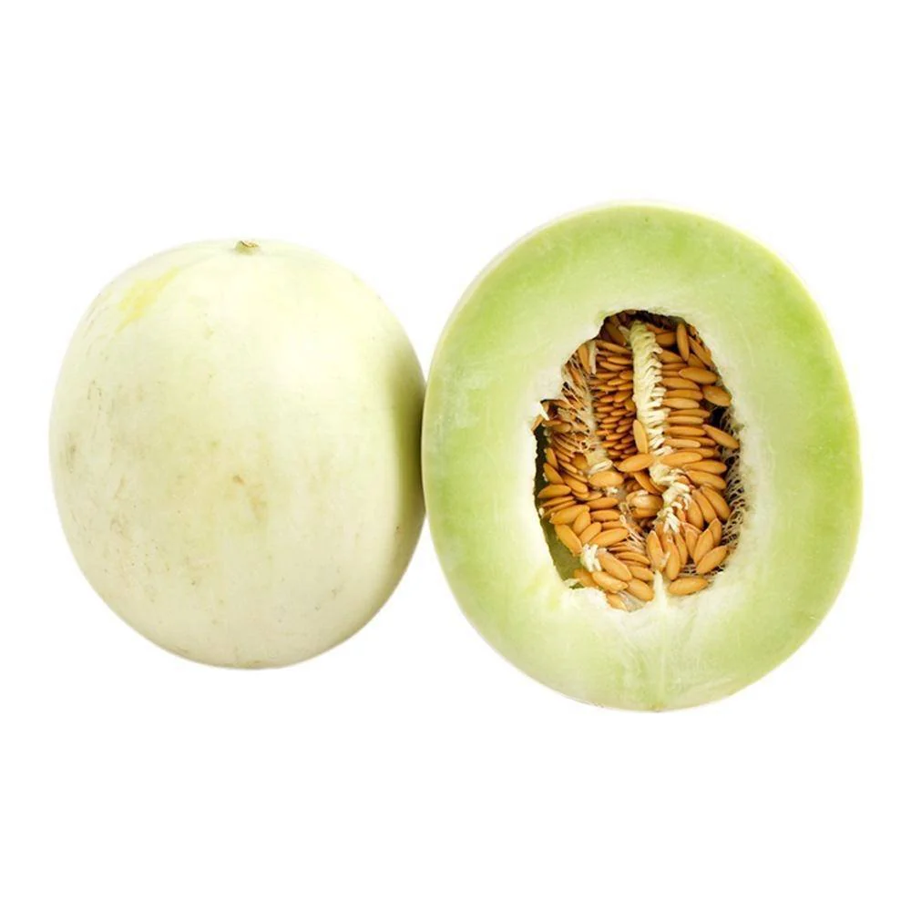 [111] MELON VALENCIANO