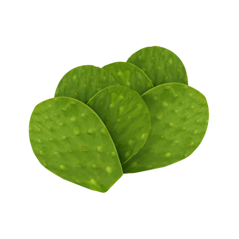 NOPAL
