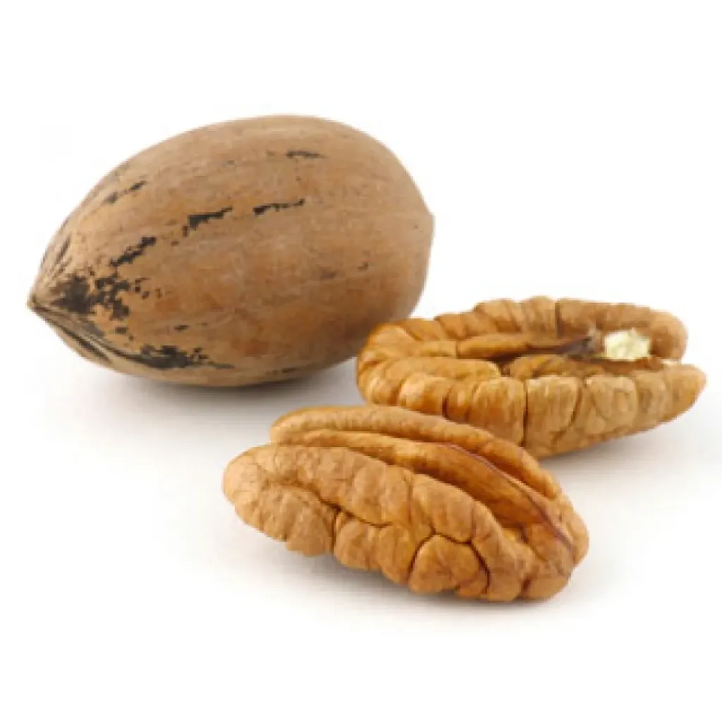 NUEZ C/CASCARA
