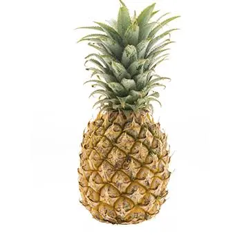 PIÑA ESMERALDA