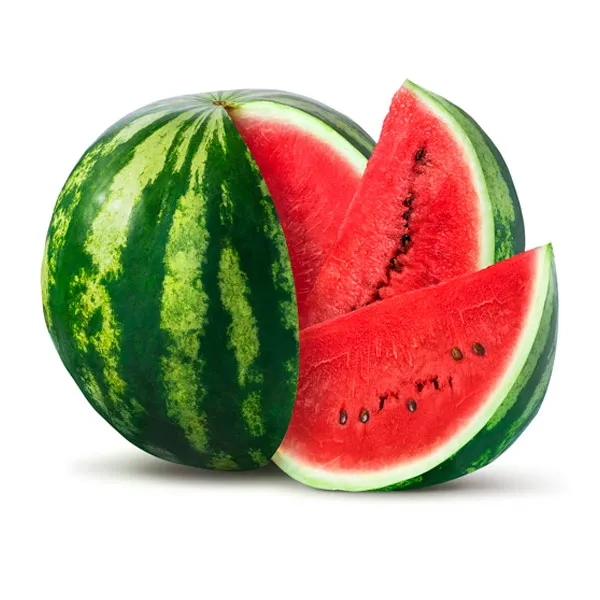 [168] SANDIA