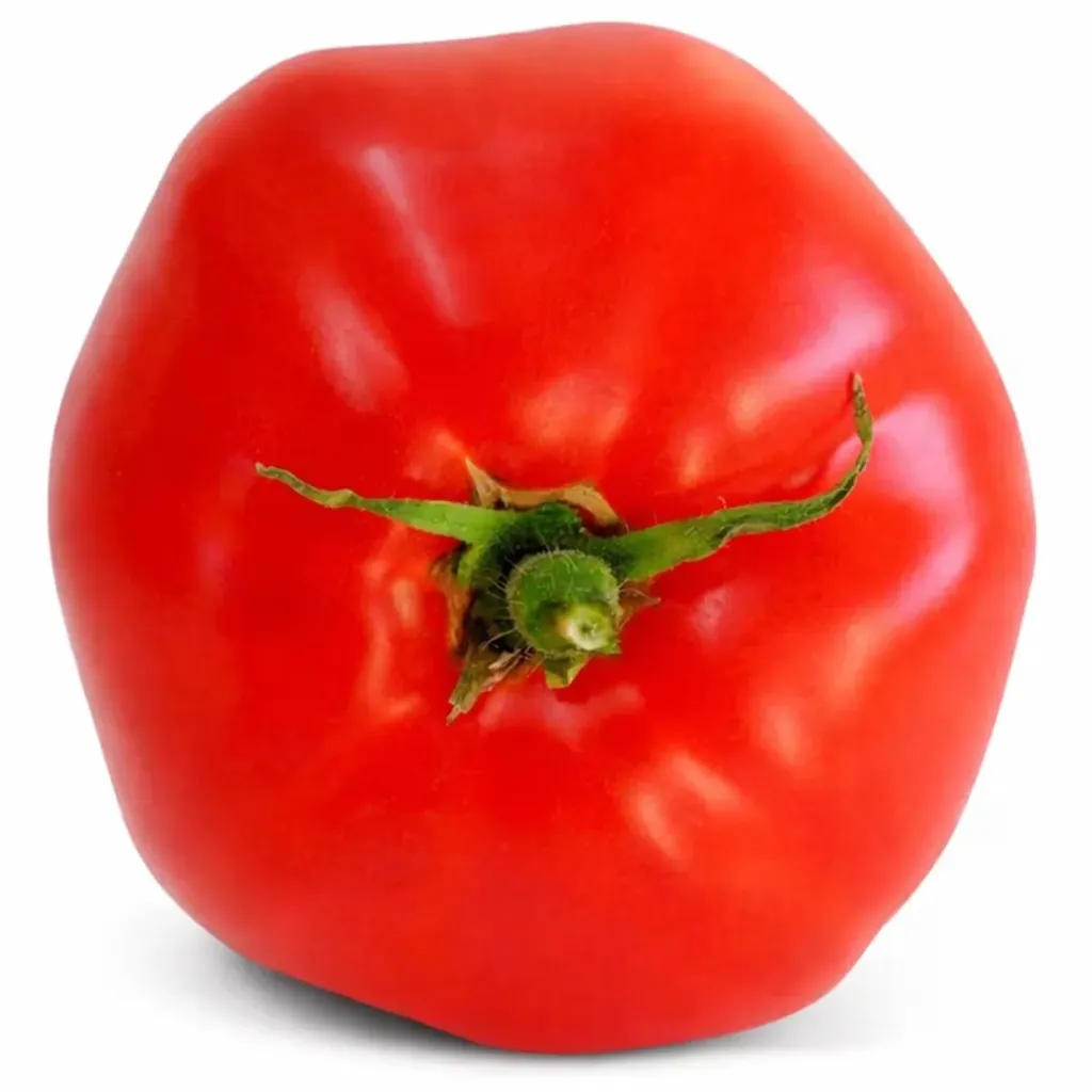 [176] TOMATE PERON