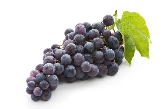 [183] UVA MORADA